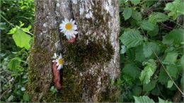 Voyage itinérant au coeur de la forêt l Renc'Arts du Parc_Verel-Pragondran - ®ANKH
