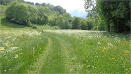Chemin de passage - ®F.Moutin