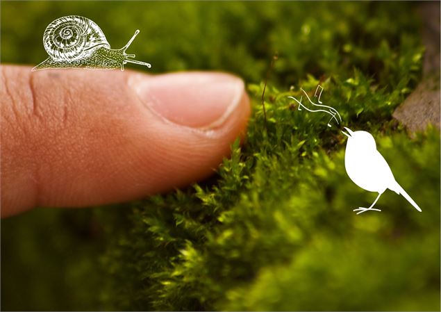 Sentir et toucher le vivant - Renc'arts BdL - @Asters (1)
