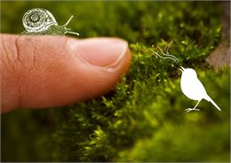 Sentir et toucher le vivant - Renc'arts BdL - @Asters (1)