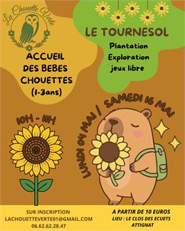 accueil des bebes chouettes - la chouette verte