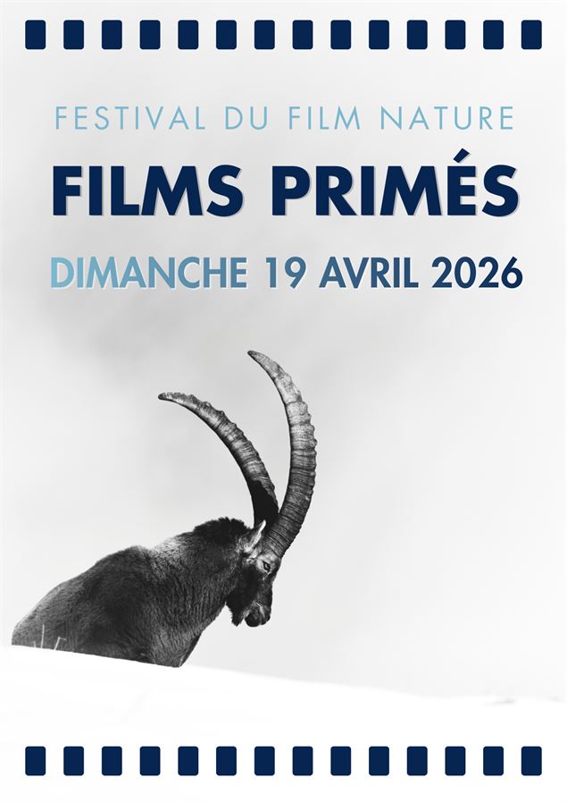 Films primés - Festival du Film Nature_Saint-Gervais-les-Bains