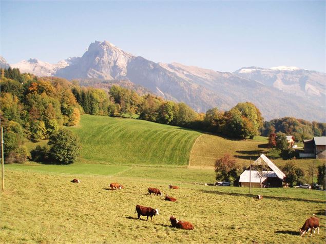 Mathonex - Sabelle Photothèque OT