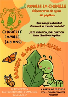 a la découverte du papillon - la chouette verte