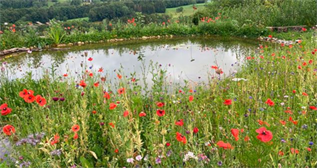 Visite du Jardin et Pause Gourmande_Habère-Lullin - Un Jardin au Paradis