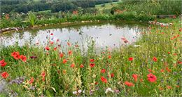 Visite du Jardin et Pause Gourmande_Habère-Lullin - Un Jardin au Paradis