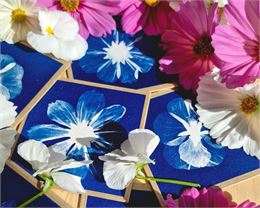 Animations en famille - atelier cyanotype botanique_Mercury