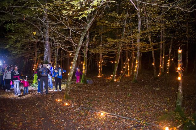 Ronde des sangliers à Saint Martin du Fresne - TourismeHautBugey©2014_MarcChatelain