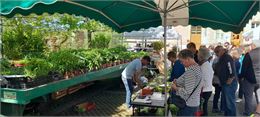 Marché de producteurs - FT pour Mairie d'Ayn