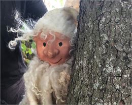 Dans la forêt, il y a... - DR