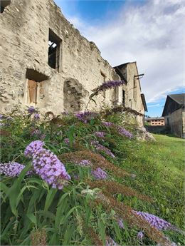Marché Médiéval_La Chambre - Emie ONILLON