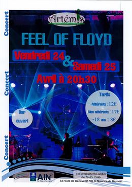 Concert avec "Feel of Floyd" - Artémis