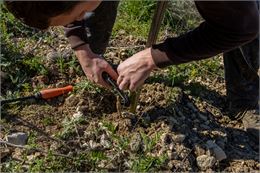 Démonstration pendant les ateliers rencontre les sens de la vigne - Vincent Maistre Bazin / Plaine d