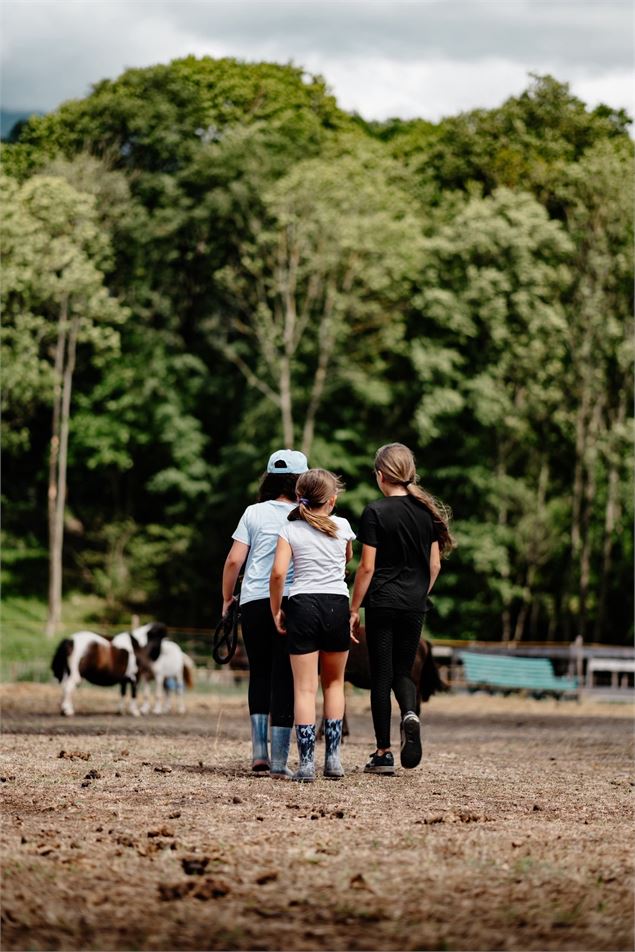 Journée à la ferme - La Ferme des Mini's du Marais_La Chambre - La Ferme des Mini's du Marais