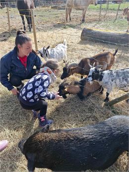 Adopte un animal - La Ferme des Mini's du Marais_La Chambre - La Ferme des Mini's du Marais