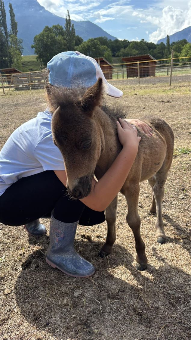 Petit fermier - La Ferme des Mini's du Marais_La Chambre - La Ferme des Mini's du Marais