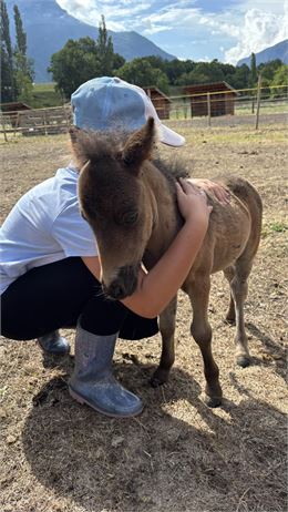 Petit fermier - La Ferme des Mini's du Marais_La Chambre - La Ferme des Mini's du Marais