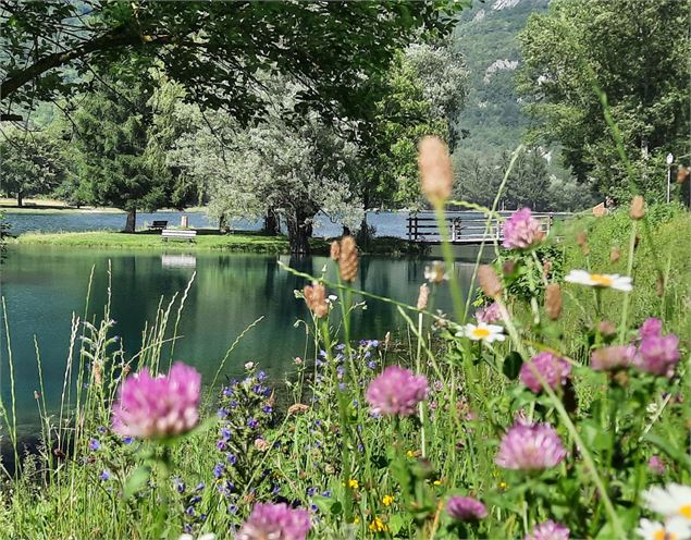 plan d'eau et fleurs en été - ML OTSLA