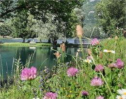 plan d'eau et fleurs en été - ML OTSLA