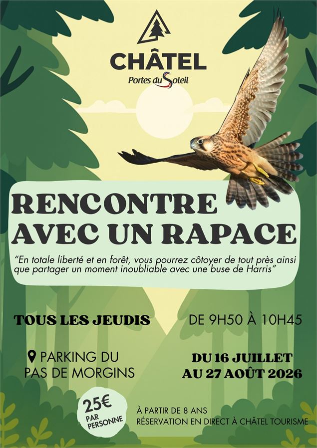 Rencontre avec un rapace_Châtel - Châtel Tourisme