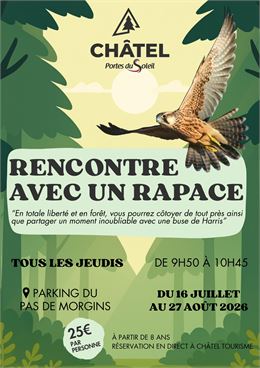 Rencontre avec un rapace_Châtel - Châtel Tourisme