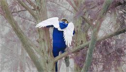 Théâtre : La Chambre claire / Espace Tully_Thonon-les-Bains - © Jeanne Garraud