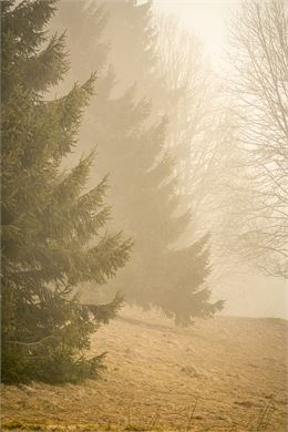 Lumières d'alpages : un printemps et un été à Combloux - Exposition de Caroline Gallien-Lavorel_Comb