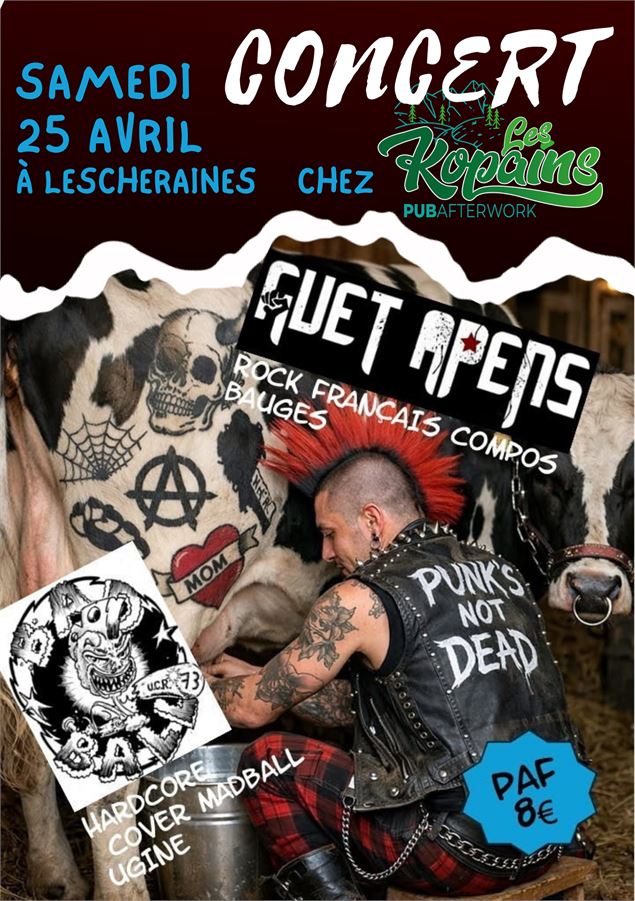 Affiche concert - lglker