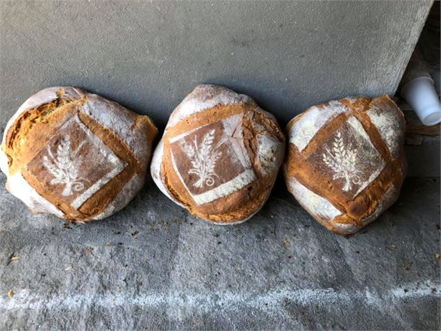 Fête du Pain_Notre-Dame-du-Cruet - Comité des fêtes de Notre Dame du Cruet