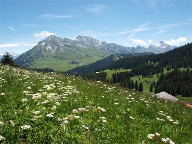 Plateau de Beauregard - Gaëlle Tagliabue