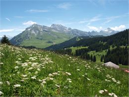 Plateau de Beauregard - Gaëlle Tagliabue
