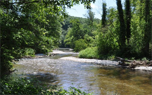 Marche du Temps Profond / Dimanche 19 avril 9h45 - 13h30. Vallon de l'Allondon. - DR