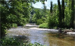 Marche du Temps Profond / Dimanche 19 avril 9h45 - 13h30. Vallon de l'Allondon. - DR