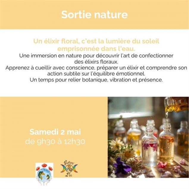 Elixir de fleurs_Attignat - LCDE