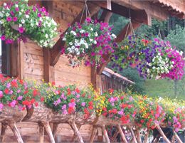 Vente de Fleurs et de Plantons_Vailly - OT Alpes du Léman - VS