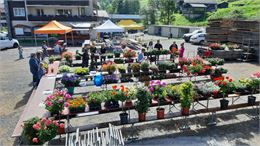 Marché aux fleurs Morgins - Laurence Leuba