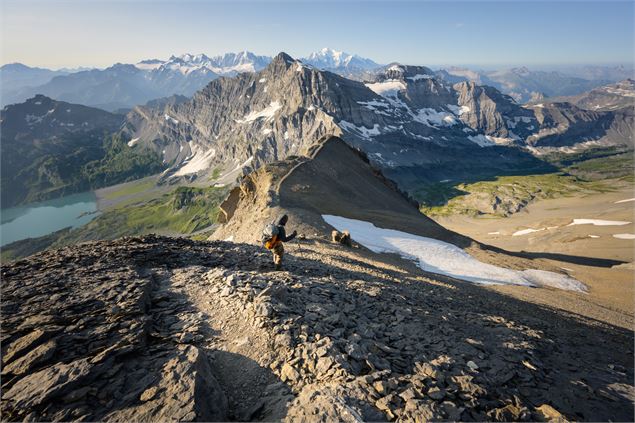 Ascension de la Haute Cime, objectif 3257m ! - Synology