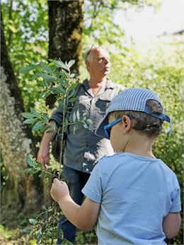 Balade familiale: Découverte des plantes sauvages_Morzine