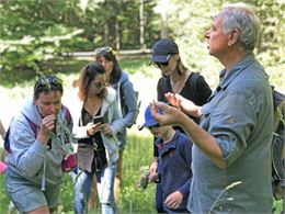 Balade familiale: Découverte des plantes sauvages_Morzine