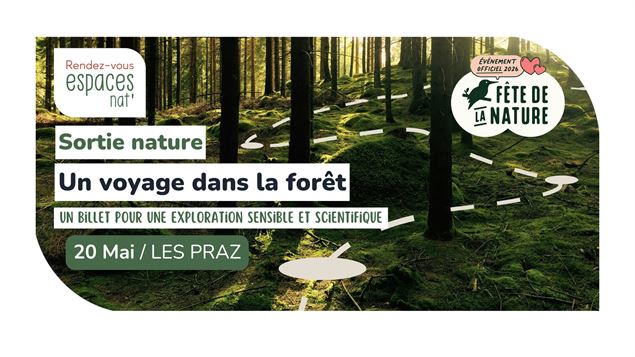 Sortie nature - Un voyage dans la forêt_Chamonix-Mont-Blanc