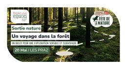 Sortie nature - Un voyage dans la forêt_Chamonix-Mont-Blanc