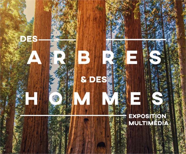 EXPO ARBRES - BD01