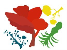 Exposition collective Labo 26_Annecy - MJC CS LE MIKADO