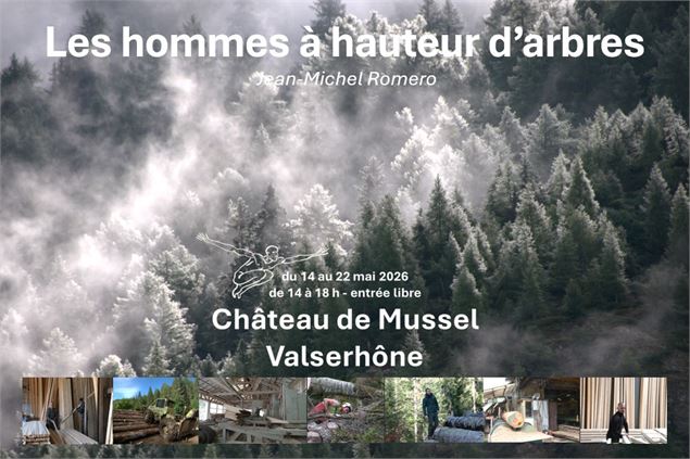 Les hommes à hauteur d'arbres - jmromero