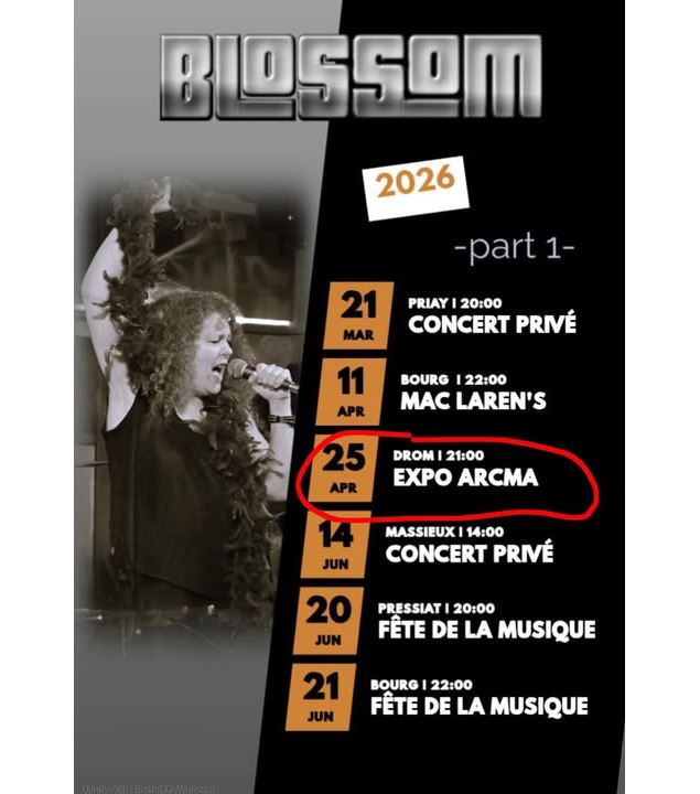 Blossom Rock band en concert - Blossom