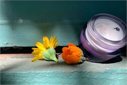 Ateliers Nature_Praz-sur-Arly