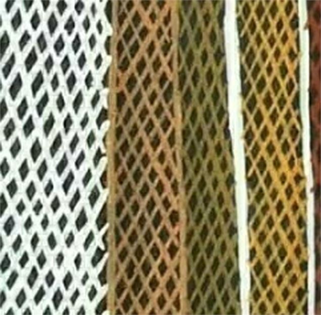 Parcours mini-MEG - Ecorce peinte de Concepta Kantilla, Territoire du Nord, île Bathurst, Nguiu,Tiwi