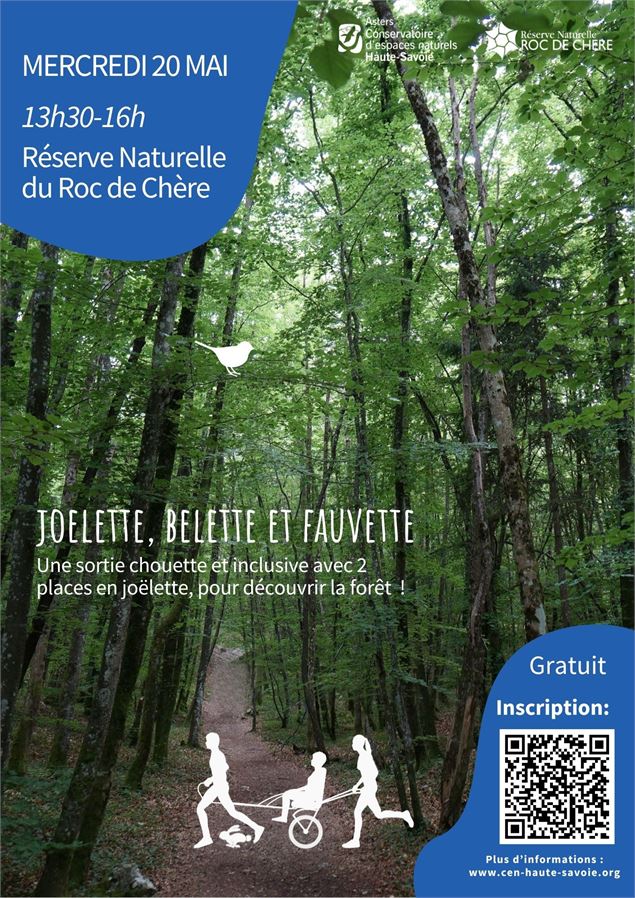Sortie « Joëlette, Belette et Fauvette »_Talloires-Montmin