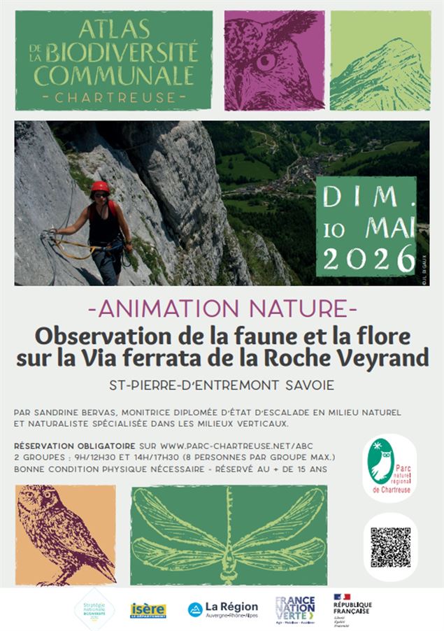 Observation de la faune et la flore sur la Via ferrata de la Roche Veyrand - PNR Chartreuse