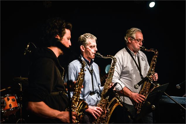 Concert des écoles de musique du département de la Savoie - APEJS